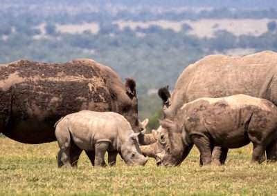 Wildlife Conservation and Education