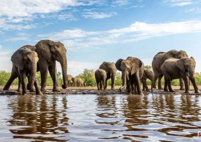 Matebole Hide Wildlife Photography