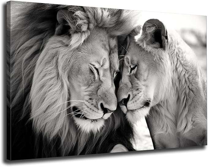 Lion Canvas Lion canvas