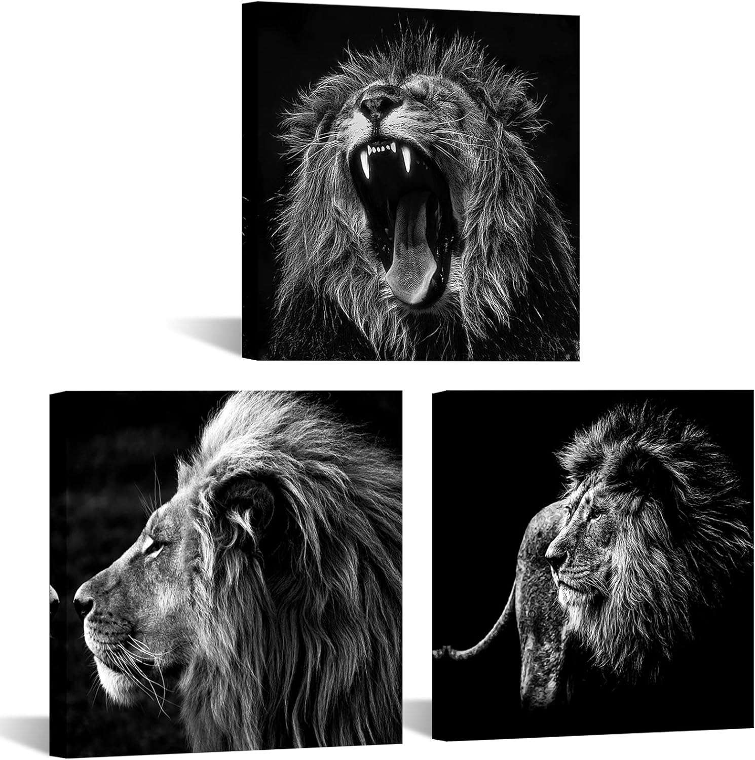Lion prints Lion prints