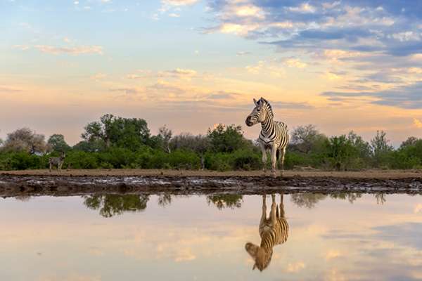 Wildlife Destinations Directory