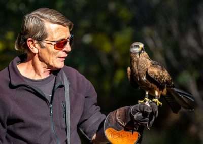 Caring For Injured and Orphaned Raptors